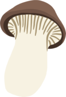 doodle croquis à main levée dessin de champignon trompette roi. png