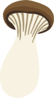 doodle freehand sketch drawing of king trumpet mushroom. png