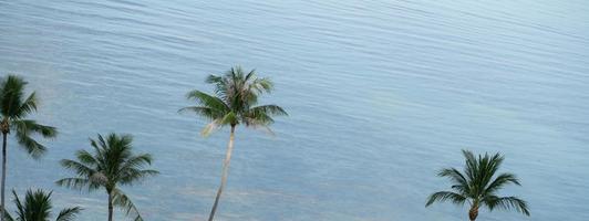 palmeras tropicales de coco sobre el océano azul y la luz del sol. foto