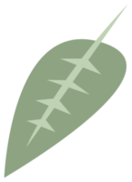 färgrik natur design element. png med transparent bakgrund.