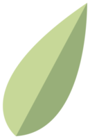 élément de design nature coloré. png avec fond transparent.