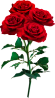 flores rosas rojas aisladas para bodas de amor y día de san valentín png