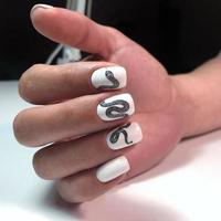 Female manicure. Manicure with a snake design on the nails. photo
