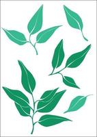 set of green leaves and twigs. Nature elements for any design. Illustration in a flat style. vector