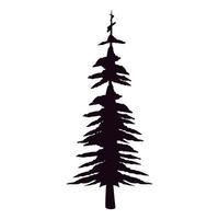 pine tree forest vector