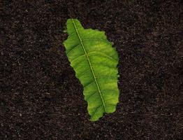 Dominica map made of green leaves on soil background ecology concept photo