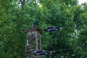 Power lines on the background of green foliage of trees. photo