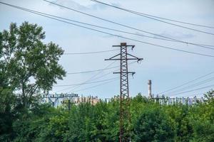 Power lines on the background of green foliage of trees. photo