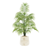 3D illustration green plant in pot png