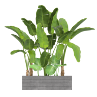 planta verde de ilustração 3D em vaso png