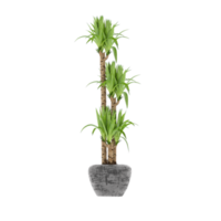 3D illustration green plant in pot png