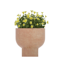 3D illustration green plant in pot png