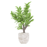 3D illustration green plant in pot png