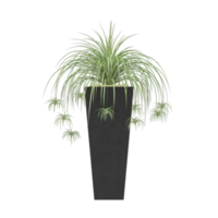 3d illustrazione verde pianta nel pentola png