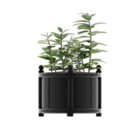3d ilustración planta verde en maceta png