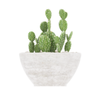 3D illustration green plant in pot png