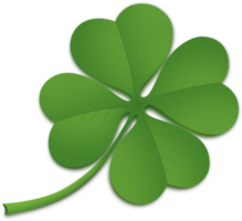 green clover illustration png