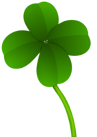 green clover illustration png