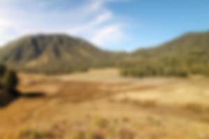 blur view of meadow in summer, with a view of dry grass. Blurred background photo