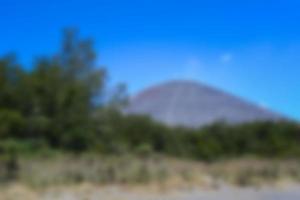 blur view of meadow in summer, with a view of dry grass. Blurred background photo