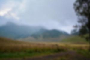 blur view of meadow in summer, with a view of dry grass. Blurred background photo