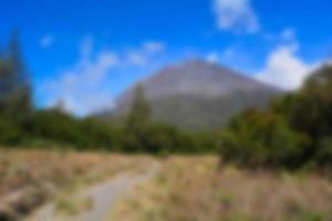 blur view of meadow in summer, with a view of dry grass. Blurred background photo