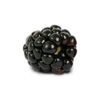 cut out of blackberry fruit png