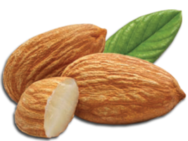 nuez de almendra con hojas png