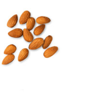 group of almond nuts concept png