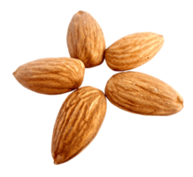 group of almond nuts concept png