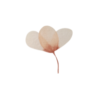 flor rosa vintage aquarela png