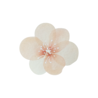 flor rosa vintage aquarela png