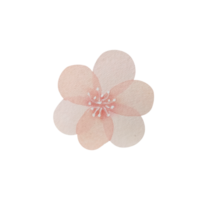acquerello Vintage ▾ rosa fiore png