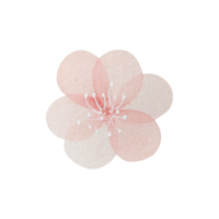 vattenfärg årgång rosa blomma png