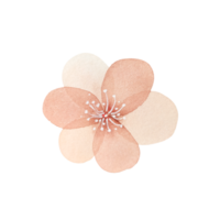 fleur rose vintage aquarelle png