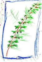 child's drawing - fir free branch photo