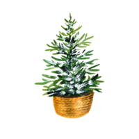 Aquarell-Weihnachtsbaum im Busket png