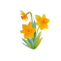 bouquet de fleurs de printemps aquarelle png