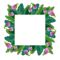 Watercolor spring flowers frame png