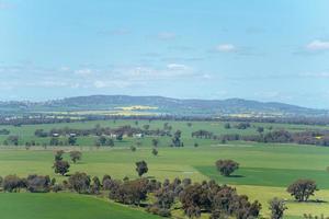 punto de vista de las áreas rurales en la región australiana de la ciudad de walla walla foto