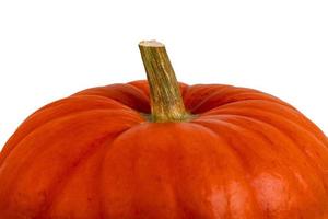 Pumpkin of orange color on a white isolated background. photo