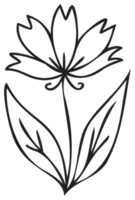 Line art flower illustration. PNG with transparent background.