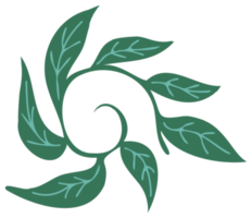 Plant decoration. PNG with transparent background.