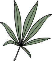 simplicidad hoja de cannabis dibujo a mano alzada diseño plano. png