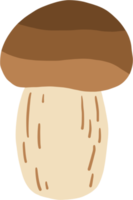 tekening uit de vrije hand schetsen tekening van porcini paddestoel. png