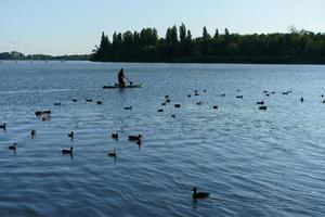 krasnodar, rusia - 22 de julio de 2022- el antiguo río kuban por patos y un hombre foto