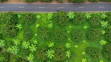 Aerial view of a rural asphalt road among beautiful green spaces. Natural landscape background.