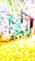 blurry photo background of plants and fruit in Indonesian village