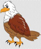 Vulture cartoon vector on isolated background