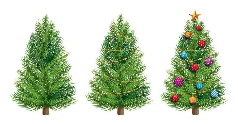 christmas tree isolated on white background.